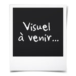V3H62E3EB7D97D6D0647F4A33CF47946A52R5830838P3