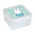Sandwich Box Safta Friends
