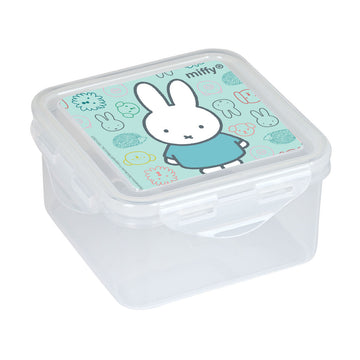 Sandwich Box Safta Friends